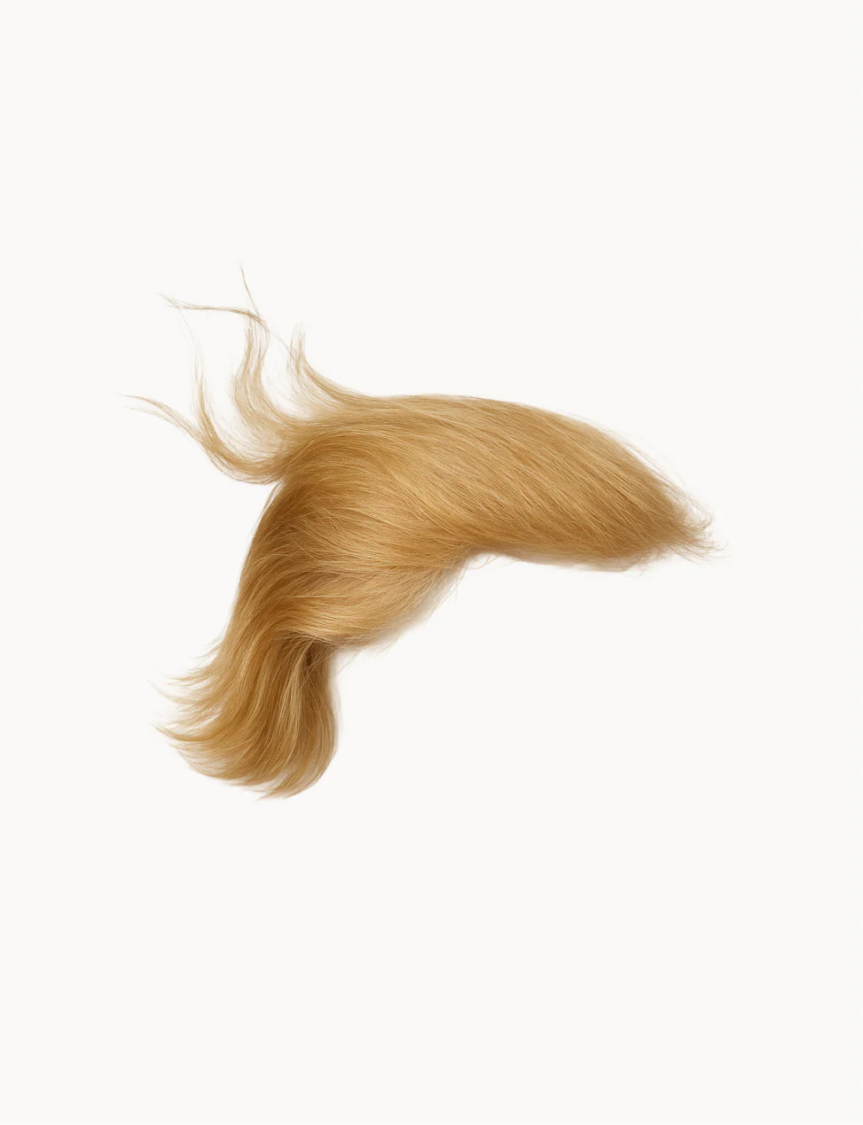 TRUMP TARIFF SURCHARGE